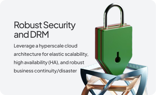 Robust Security and DRM